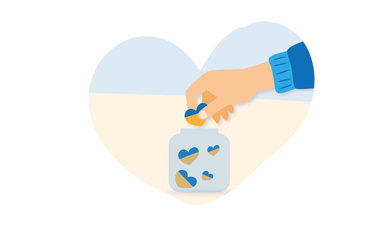 Wohin fliessen Schweizer Spendengelder?